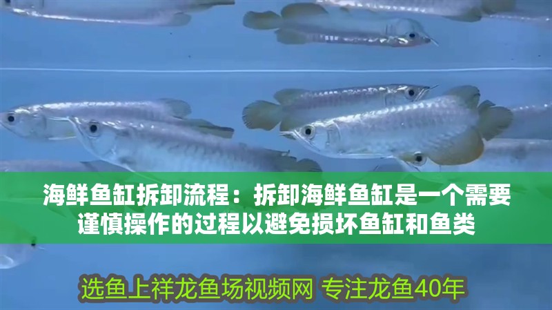 海鮮魚缸拆卸流程：拆卸海鮮魚缸是一個需要謹慎操作的過程以避免損壞魚缸和魚類