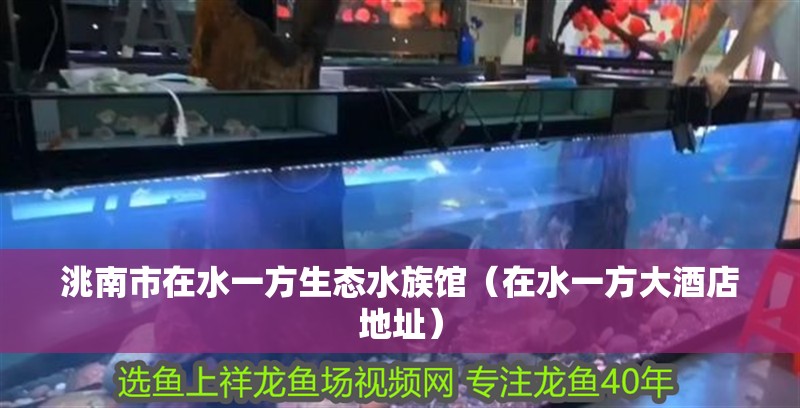 洮南市在水一方生態(tài)水族館（在水一方大酒店地址）