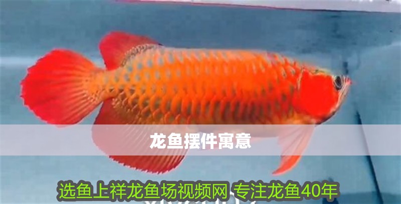 龍魚擺件寓意
