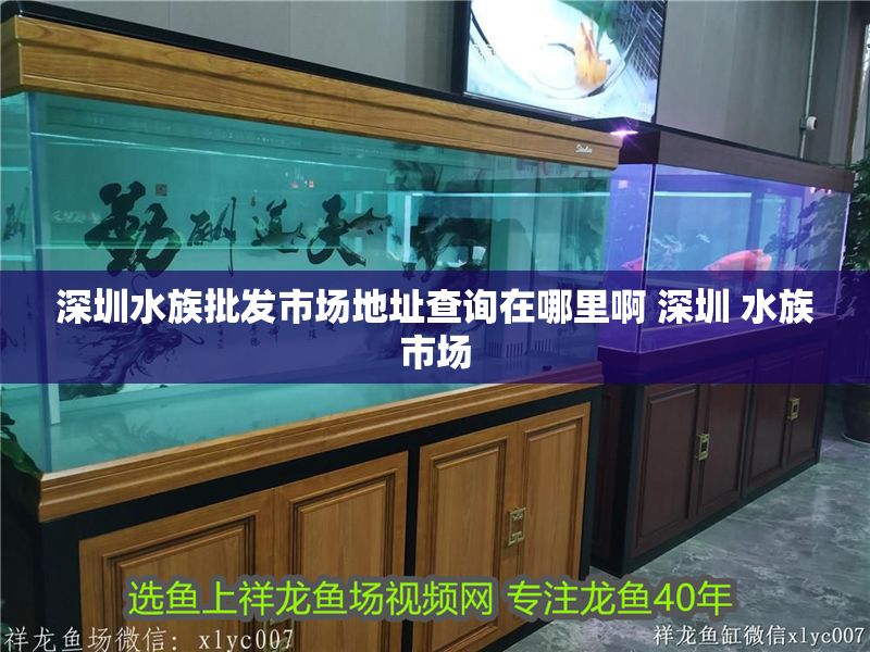 深圳水族批發市場地址查詢在哪里啊 深圳 水族市場 深圳水族批發市場地址查詢在哪里啊 深圳 水族市場 錦鯉魚百科 第1張