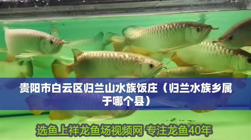 貴陽市白云區(qū)歸蘭山水族飯莊（歸蘭水族鄉(xiāng)屬于哪個縣）