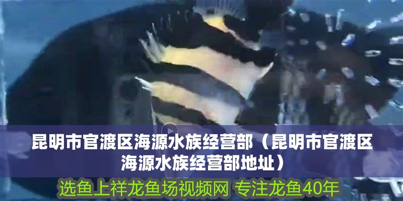 昆明市官渡區海源水族經營部（昆明市官渡區海源水族經營部地址）