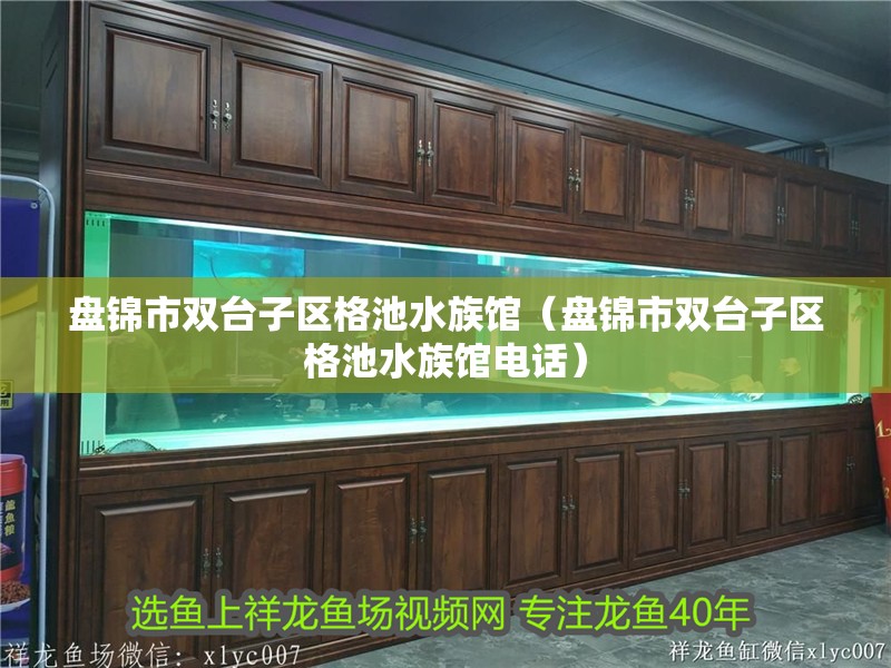 盤錦市雙臺(tái)子區(qū)格池水族館（盤錦市雙臺(tái)子區(qū)格池水族館電話）