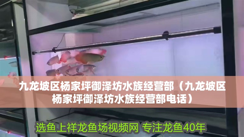 九龍坡區楊家坪御澤坊水族經營部（九龍坡區楊家坪御澤坊水族經營部電話）