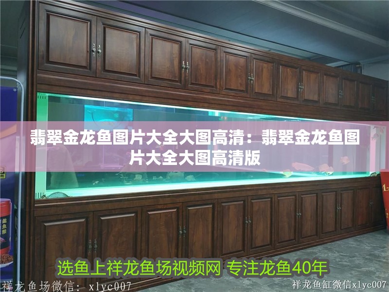 翡翠金龍魚圖片大全大圖高清：翡翠金龍魚圖片大全大圖高清版