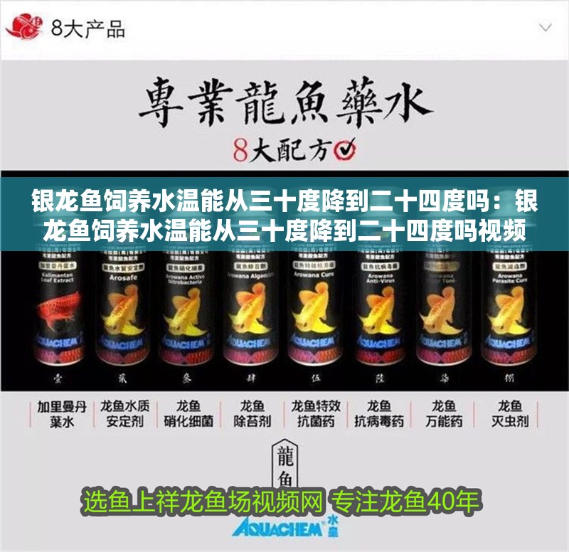 銀龍魚飼養水溫能從三十度降到二十四度嗎：銀龍魚飼養水溫能從三十度降到二十四度嗎視頻