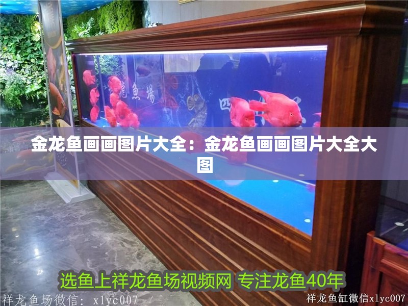 金龍魚畫畫圖片大全：金龍魚畫畫圖片大全大圖