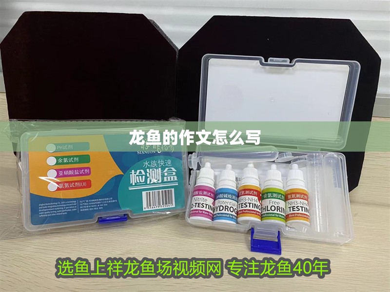 龍魚的作文怎么寫