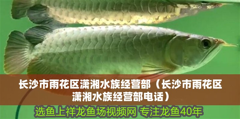長沙市雨花區(qū)瀟湘水族經(jīng)營部（長沙市雨花區(qū)瀟湘水族經(jīng)營部電話）