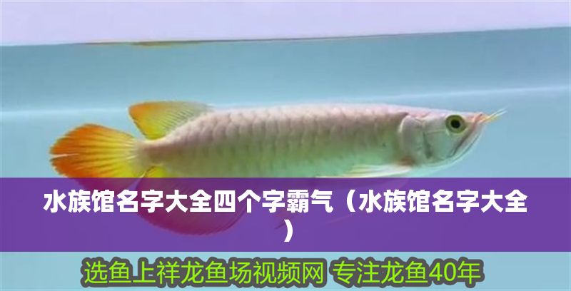 水族館名字大全四個字霸氣（水族館名字大全）