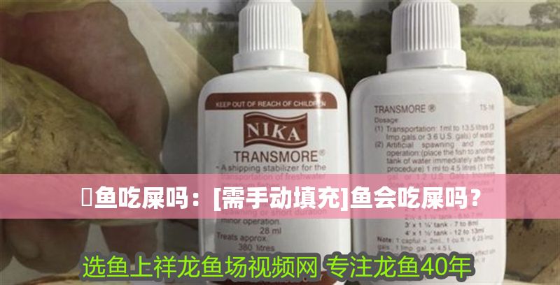 魟魚吃屎嗎：[需手動填充]魚會吃屎嗎？