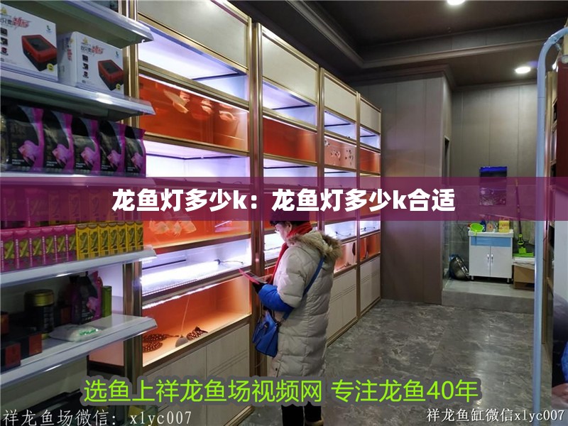 龍魚燈多少k：龍魚燈多少k合適
