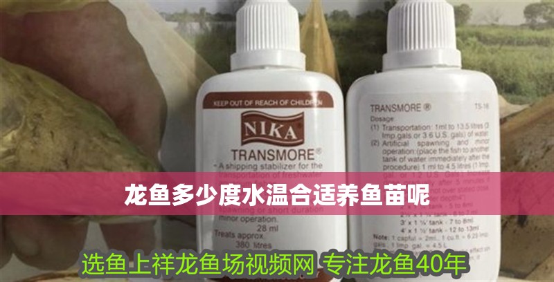 龍魚多少度水溫合適養(yǎng)魚苗呢