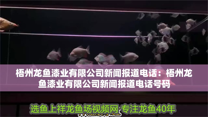 梧州龍魚漆業有限公司新聞報道電話：梧州龍魚漆業有限公司新聞報道電話號碼