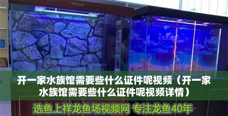 開一家水族館需要些什么證件呢視頻（開一家水族館需要些什么證件呢視頻詳情） 開一家水族館需要些什么證件呢視頻（開一家水族館需要些什么證件呢視頻詳情） 水族館百科（水族館加盟） 第1張