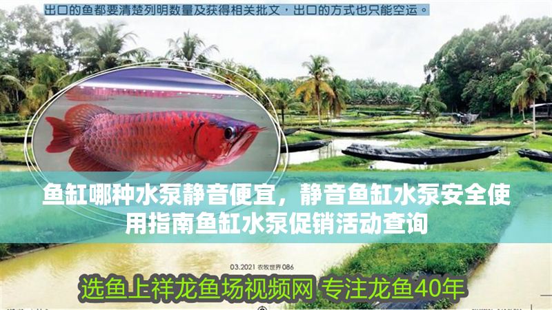 魚缸哪種水泵靜音便宜，靜音魚缸水泵安全使用指南魚缸水泵促銷活動查詢