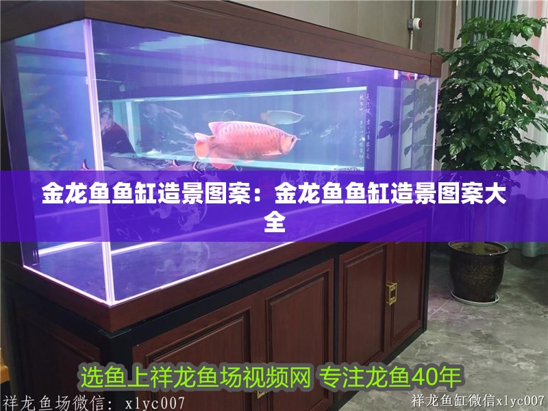 金龍魚魚缸造景圖案：金龍魚魚缸造景圖案大全