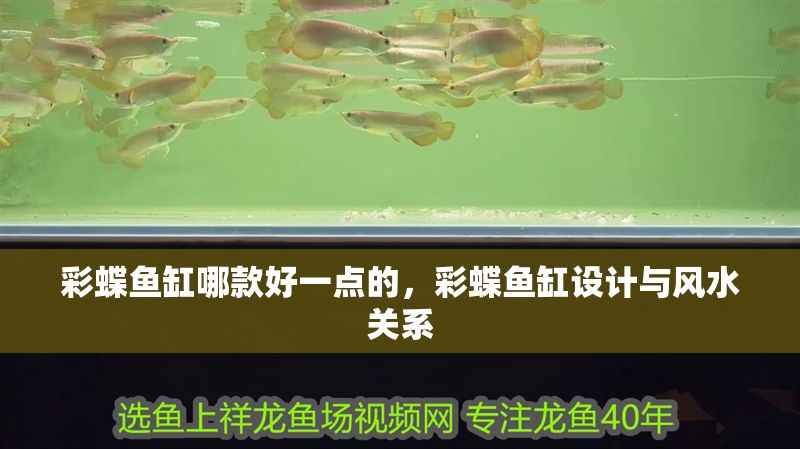 彩蝶魚缸哪款好一點的，彩蝶魚缸設計與風水關系