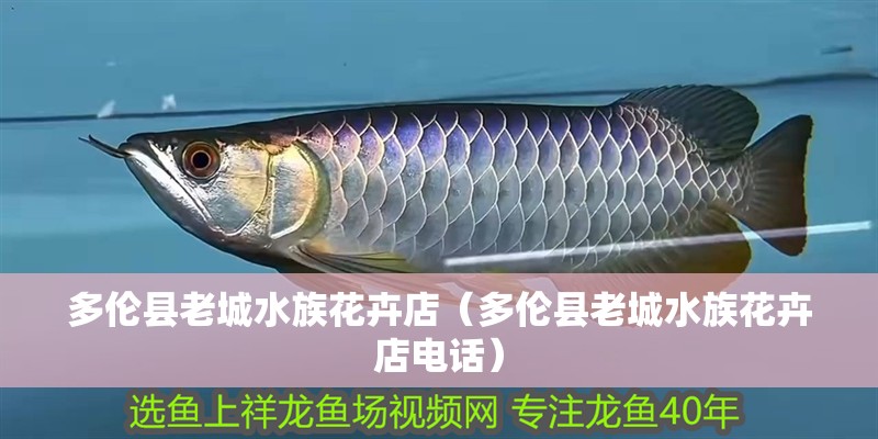 多倫縣老城水族花卉店（多倫縣老城水族花卉店電話） 多倫縣老城水族花卉店（多倫縣老城水族花卉店電話） 全國水族館企業(yè)名錄 第2張