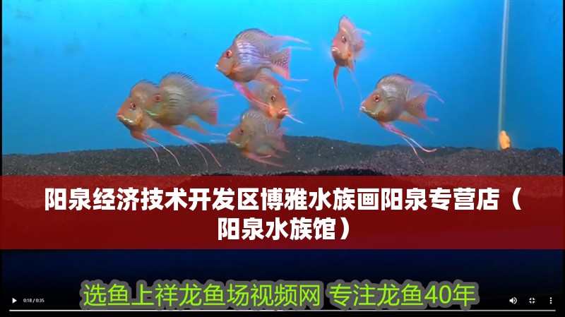 陽泉經濟技術開發區博雅水族畫陽泉專營店（陽泉水族館）