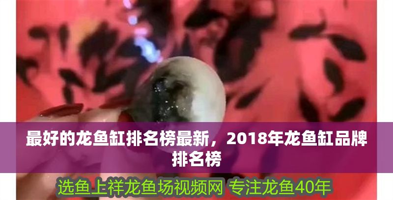 最好的龍魚缸排名榜最新，2018年龍魚缸品牌排名榜