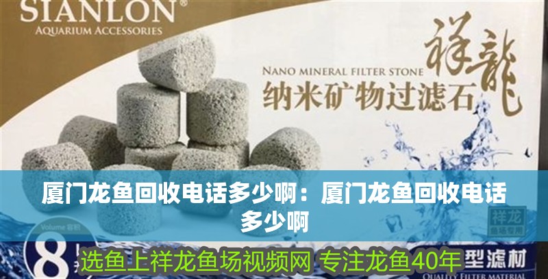 廈門龍魚回收電話多少啊：廈門龍魚回收電話多少啊