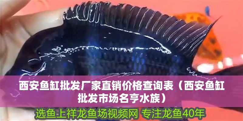 西安魚缸批發廠家直銷價格查詢表（西安魚缸批發市場名亨水族）
