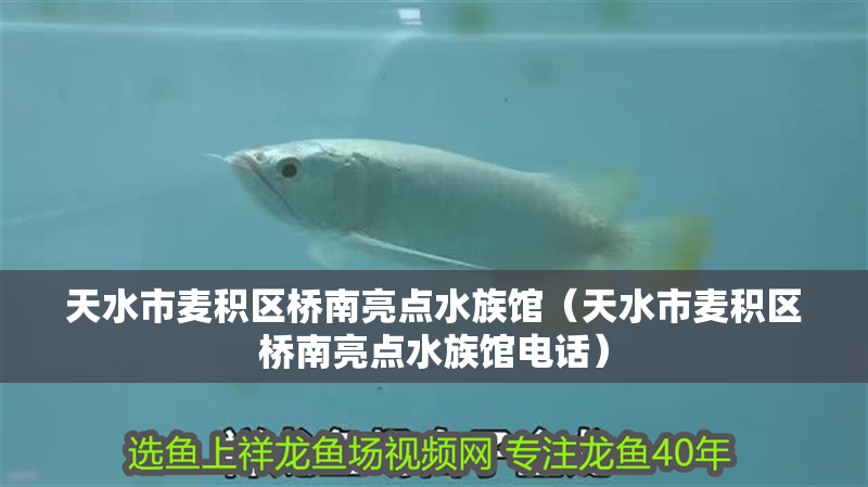 天水市麥積區橋南亮點水族館（天水市麥積區橋南亮點水族館電話）