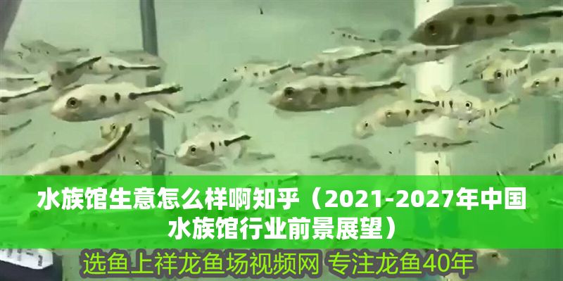水族館生意怎么樣啊知乎（2021-2027年中國水族館行業前景展望）