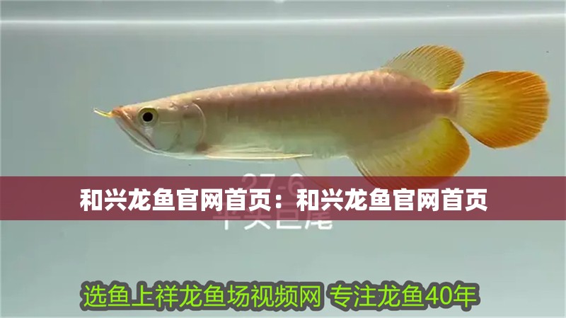 和興龍魚官網(wǎng)首頁：和興龍魚官網(wǎng)首頁