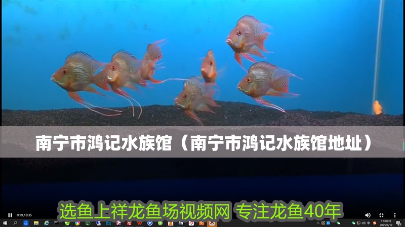 南寧市鴻記水族館(南寧市鴻記水族館地址) 全國水族館企業名錄 第2張 南寧市鴻記水族館(南寧市鴻記水族館地址) 南寧市鴻記水族館(南寧市鴻記水族館地址) 全國水族館企業名錄 第2張