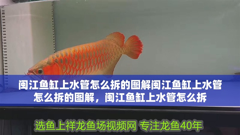 閩江魚缸上水管怎么拆的圖解閩江魚缸上水管怎么拆的圖解，閩江魚缸上水管怎么拆