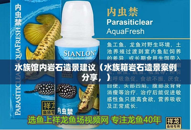 水族館內巖石造景建議（水族箱巖石造景案例分享，）