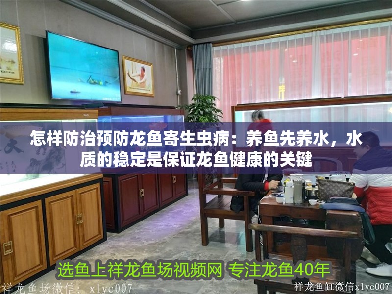 怎樣防治預防龍魚寄生蟲病：養魚先養水，水質的穩定是保證龍魚健康的關鍵