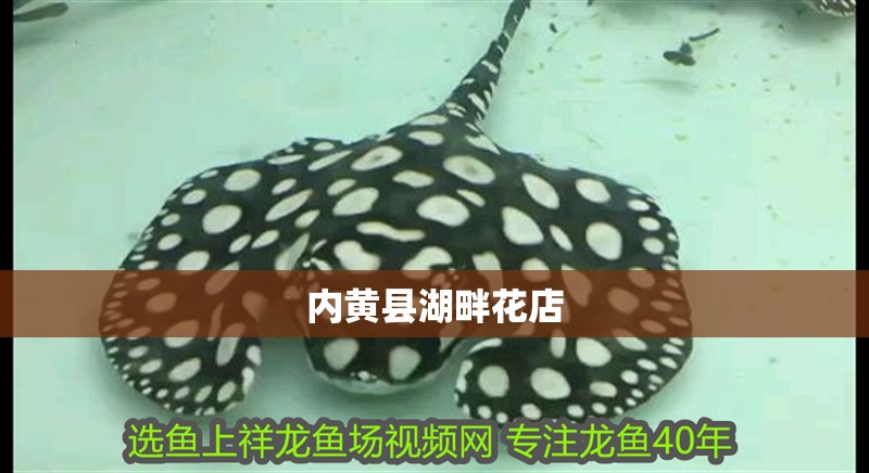 內黃縣湖畔花店