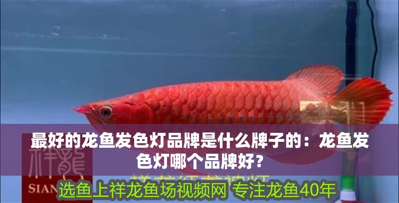 最好的龍魚發(fā)色燈品牌是什么牌子的：龍魚發(fā)色燈哪個品牌好？