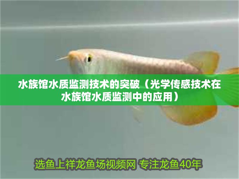 水族館水質監測技術的突破（光學傳感技術在水族館水質監測中的應用） 水族館水質監測技術的突破（光學傳感技術在水族館水質監測中的應用） 水族館百科（水族館加盟） 第1張