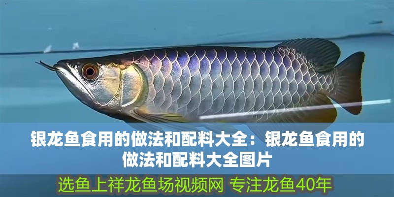 銀龍魚食用的做法和配料大全:銀龍魚食用的做法和配料大全圖片 水族問答 銀龍魚食用的做法和配料大全:銀龍魚食用的做法和配料大全圖片 銀龍魚食用的做法和配料大全:銀龍魚食用的做法和配料大全圖片 水族問答