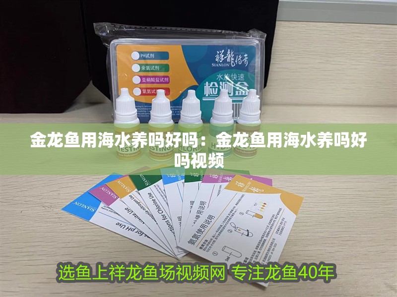 金龍魚用海水養嗎好嗎：金龍魚用海水養嗎好嗎視頻