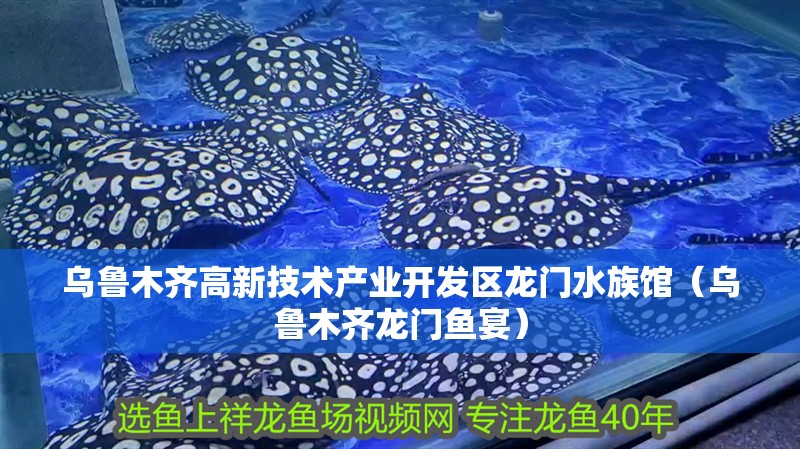 烏魯木齊高新技術(shù)產(chǎn)業(yè)開發(fā)區(qū)龍門水族館（烏魯木齊龍門魚宴）