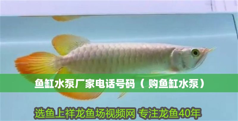 魚缸水泵廠家電話號碼（ 購魚缸水泵）