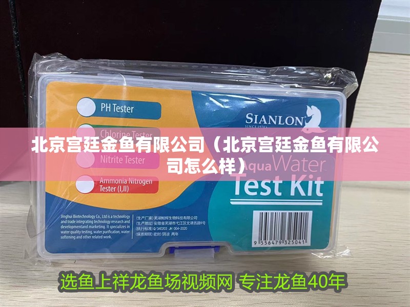 北京宮廷金魚(yú)有限公司（北京宮廷金魚(yú)有限公司怎么樣）