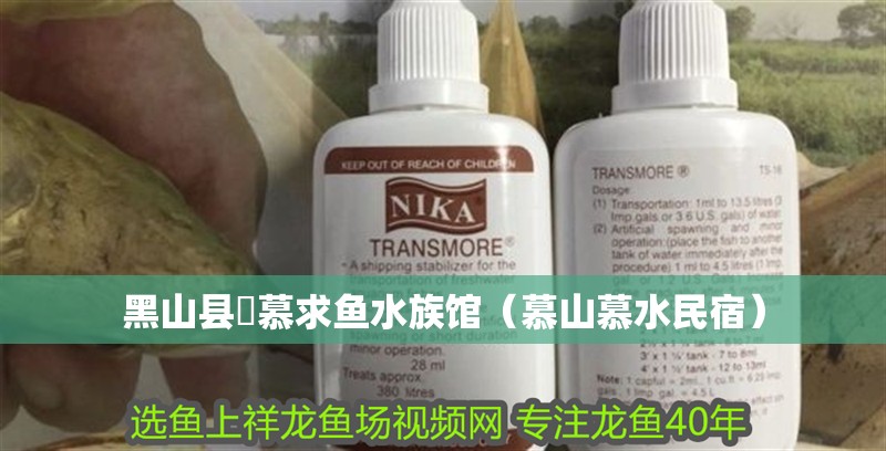 黑山縣円慕求魚水族館（慕山慕水民宿） 黑山縣円慕求魚水族館（慕山慕水民宿） 全國水族館企業(yè)名錄 第2張