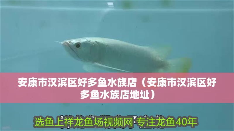 安康市漢濱區好多魚水族店（安康市漢濱區好多魚水族店地址）
