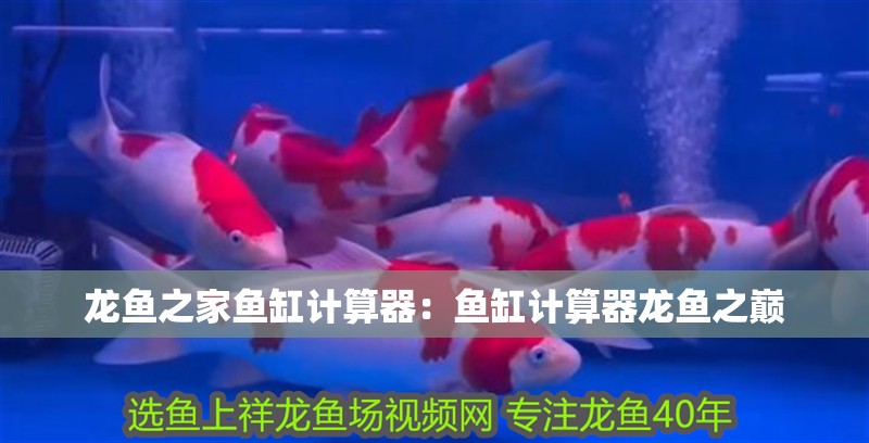 龍魚之家魚缸計算器：魚缸計算器龍魚之巔