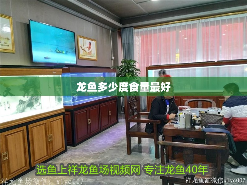 龍魚多少度食量最好 龍魚多少度食量最好 龍魚百科 第2張