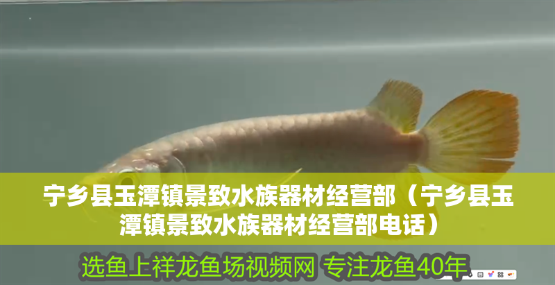 寧鄉縣玉潭鎮景致水族器材經營部（寧鄉縣玉潭鎮景致水族器材經營部電話） 寧鄉縣玉潭鎮景致水族器材經營部（寧鄉縣玉潭鎮景致水族器材經營部電話） 全國水族館企業名錄 第2張