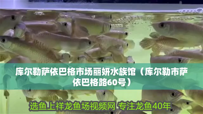 庫爾勒薩依巴格市場麗妍水族館（庫爾勒市薩依巴格路60號） 庫爾勒薩依巴格市場麗妍水族館（庫爾勒市薩依巴格路60號） 全國水族館企業名錄 第2張