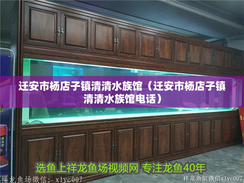 遷安市楊店子鎮(zhèn)清清水族館（遷安市楊店子鎮(zhèn)清清水族館電話）