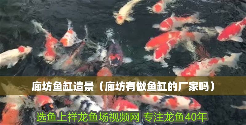 廊坊魚缸造景（廊坊有做魚缸的廠家嗎） 廊坊魚缸造景（廊坊有做魚缸的廠家嗎） 魟魚百科 第1張